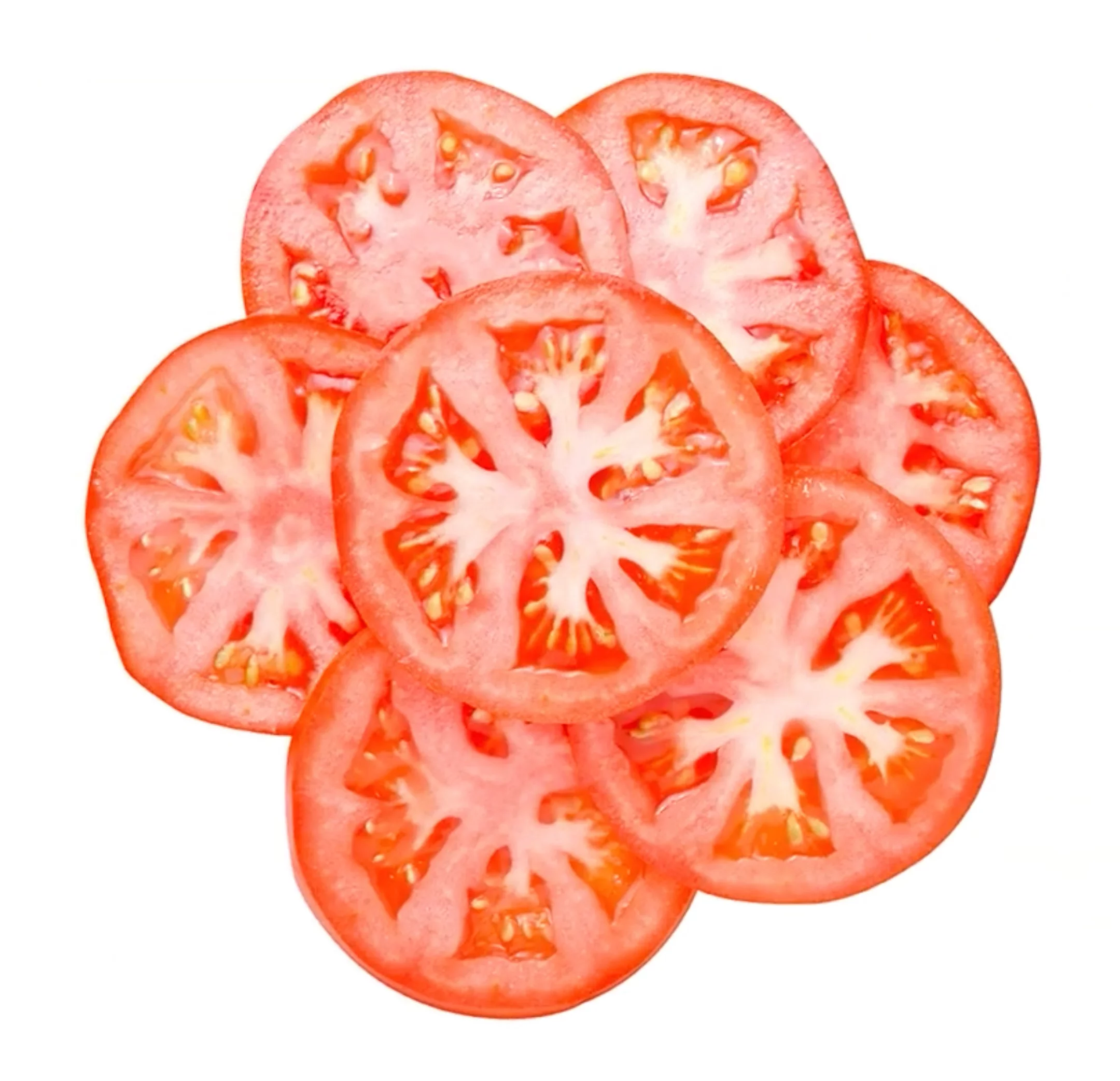 Robot Coupe skive CL50 kniv 6 mm Expert (28196W) - Bilde 4